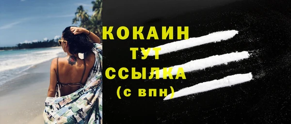 ГАЛЛЮЦИНОГЕННЫЕ ГРИБЫ Новозыбков