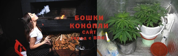 трава Новокубанск