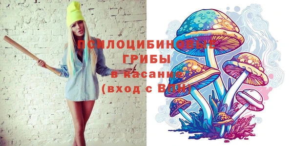 ГАЛЛЮЦИНОГЕННЫЕ ГРИБЫ Новозыбков