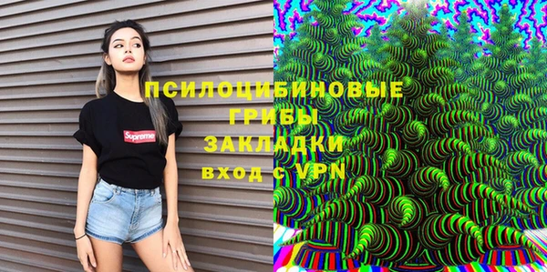 ГАЛЛЮЦИНОГЕННЫЕ ГРИБЫ Новозыбков