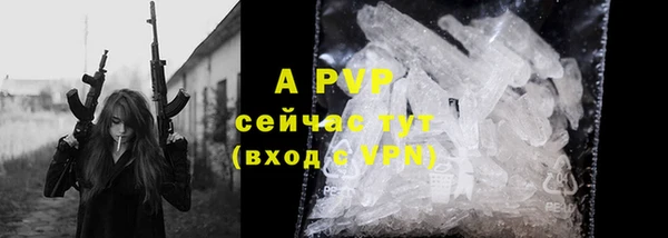 ГАЛЛЮЦИНОГЕННЫЕ ГРИБЫ Новозыбков