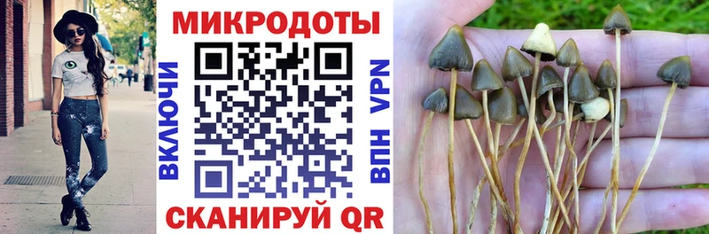 Купить где  Удачный  Псилоцибиновые грибы Psilocybe 